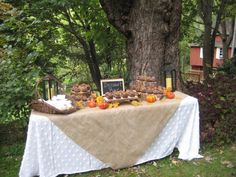 a table that has some food on it and is under a tree in the yard