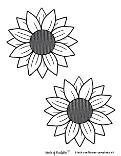 two sunflowers are shown in black and white