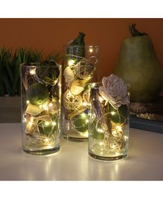 three glass vases filled with plants and lights