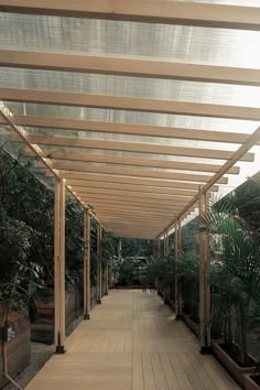 a long wooden walkway lined with potted plants