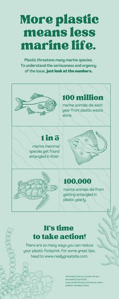 an info sheet describing different types of marine life