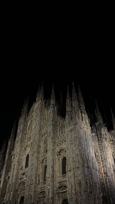 the large cathedral is lit up at night