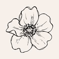 a black and white drawing of a flower on a light background, with the petals slightly open