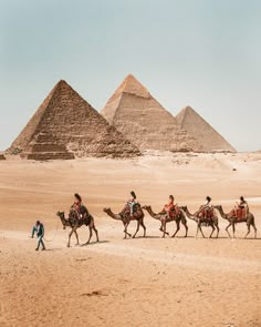 people riding camels in front of the pyramids