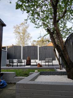 a dog laying on the ground in front of a tree and some people sitting at tables