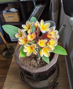 a potted plant with yellow and red flowers in it sitting on a wooden table