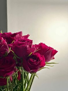 a vase filled with red roses sitting on top of a white countertop next to a mirror