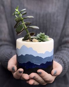 a person holding a potted plant with mountains painted on the front and sides in their hands