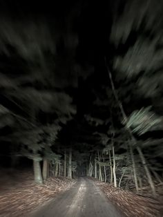 a blurry photo of a dirt road in the woods with trees on both sides