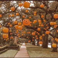 many pumpkins are hanging from trees in the park as if they were carved to look like jack - o'- lanterns