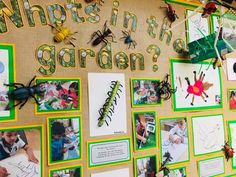 a bulletin board covered in pictures and magnets that say what's in the garden?