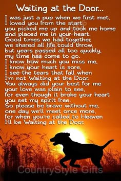 a dog is silhouetted against an orange sky with the words waiting at the door