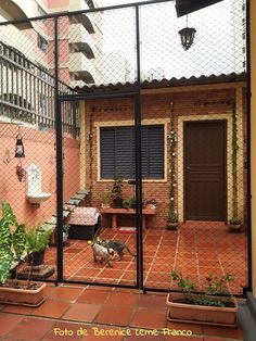 an outdoor patio with potted plants and a dog