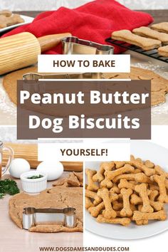 how to bake peanut butter dog biscuits for dogs and their owners that they love