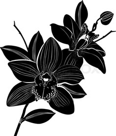 Orchid Flower Tattoo, Orchid Flower Tattoos, Orchid Art, Orchid Tattoo, Tattoo Vector, Tattoo Cover, Tattoo Cover-up, Cover Up Tattoo, Up Tattoos