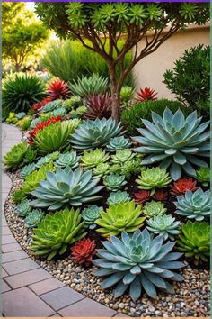 an assortment of succulents and trees in a garden