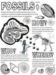 a poster with pictures of different animals and their names in black and white on a white background