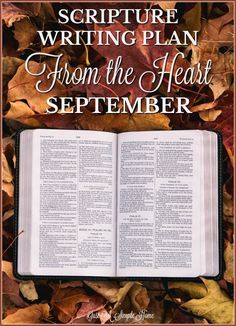 an open bible laying on top of leaves with the words, scripture writing plan from the heart