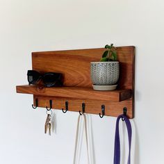 a potted plant sitting on top of a wooden shelf next to two pairs of sunglasses