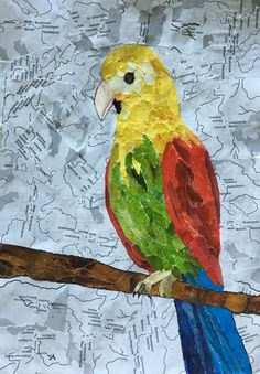 a colorful bird sitting on top of a wooden branch next to a map with lots of writing