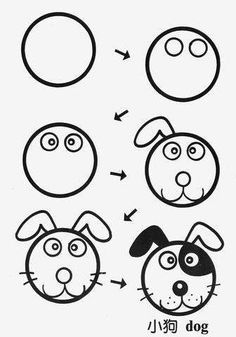 the steps in how to draw a dog's face