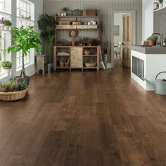 a living room filled with furniture and lots of plants on top of wooden flooring