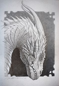 a black and white drawing of a dragon with its head turned to the side, in front of a dark background