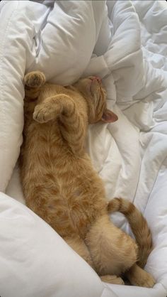 an orange tabby cat sleeping on top of a white comforter