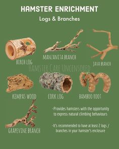 an image of different types of branches and branches on a green background with the words hamster enrichment logs & branches