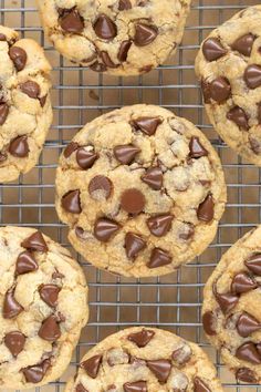 chocolate chip cookies cooling on a wire rack