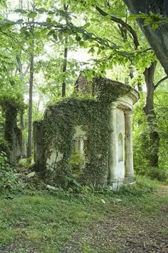 an old building in the middle of a forest with ivy growing on it's walls