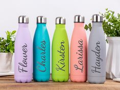 four different colored stainless steel water bottles sitting on a wooden table next to a potted plant