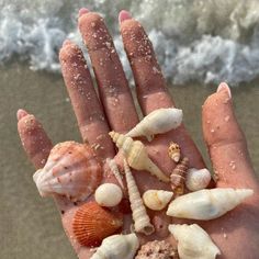 a person's hand with shells and sand on the beach