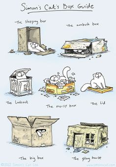 an image of cats in boxes with caption that says, simon's cat box guide