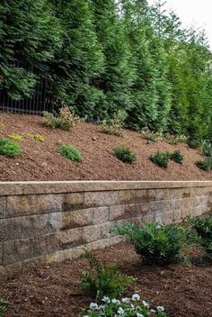 a stone retaining wall with trees in the background