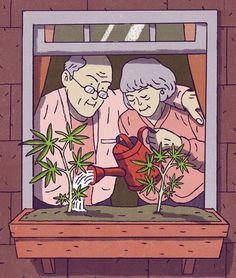 an elderly couple watering the plants in their window sill