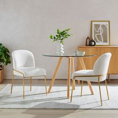 a glass table with two chairs and a potted plant on the floor in front of it