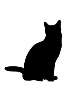 a black cat silhouetted against a white background