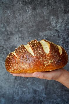 a close up of a person holding a loaf of bread in front of a gray background