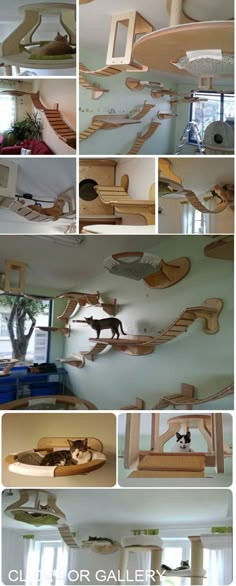 several pictures of cat furniture made out of wooden planks and plywood strips, with cats on the shelves