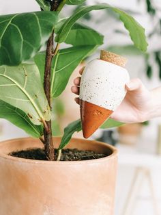 a hand holding an ice cream cone shaped plant in a pot with dirt on it