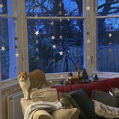 a cat sitting on the back of a couch in front of a window with stars