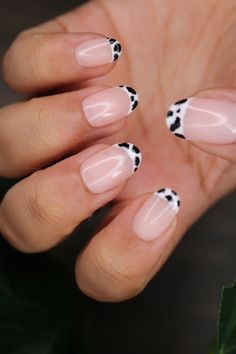 These are the BEST trendy oval nails designs summer, including cute short cow print French tip nails, classy oval nails ideas, oval nail shape ideas, cow print oval nails French tip, short oval nails acrylic gel, fun oval nails spring, cute oval nails aesthetic, short oval acrylic nails with cow print and oval nail art designs classy! If you haven’t jumped on this nail trend yet, you have to before it’s too late! Cow Print Fake Nails, Cow Print Nail Art, French Press On Nails, Western Nails