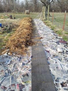 the path is covered with newspaper and grass