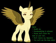 an image of a cute little pony with wings on it's back and the words,