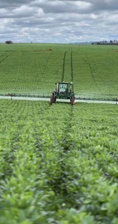 a tractor is driving through the middle of a large field with green plants in front of it