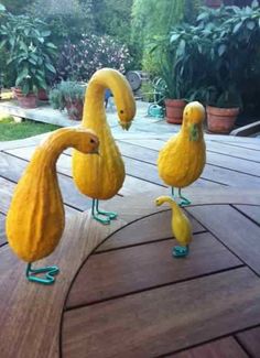 two yellow birds standing on top of a wooden deck next to plants and potted trees