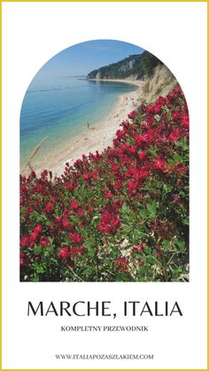 the beach with red flowers in front of it and text that reads marche, italia