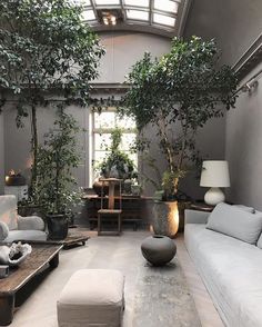 a living room filled with lots of furniture and plants on top of it's walls