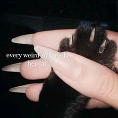 a person holding a cat's paw with the caption every weird girl needs her cat